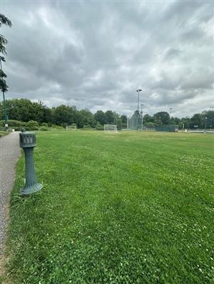 Dillon Multi-Purpose Field