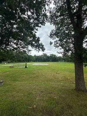 Carrick Park